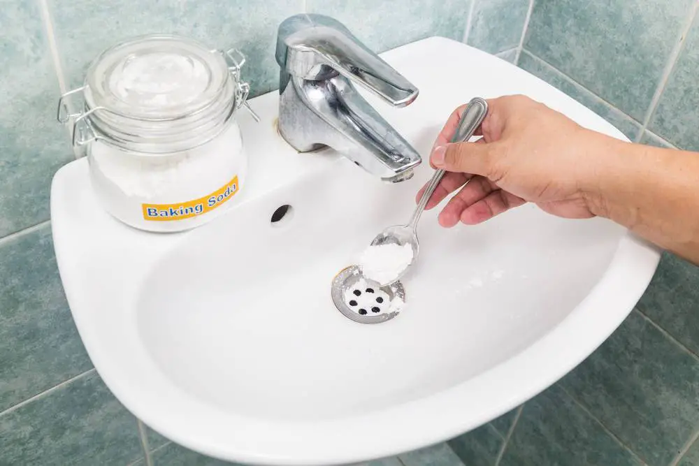 ¿Cómo eliminar todos los malos olores del baño? – Mis Consejos Jardinería