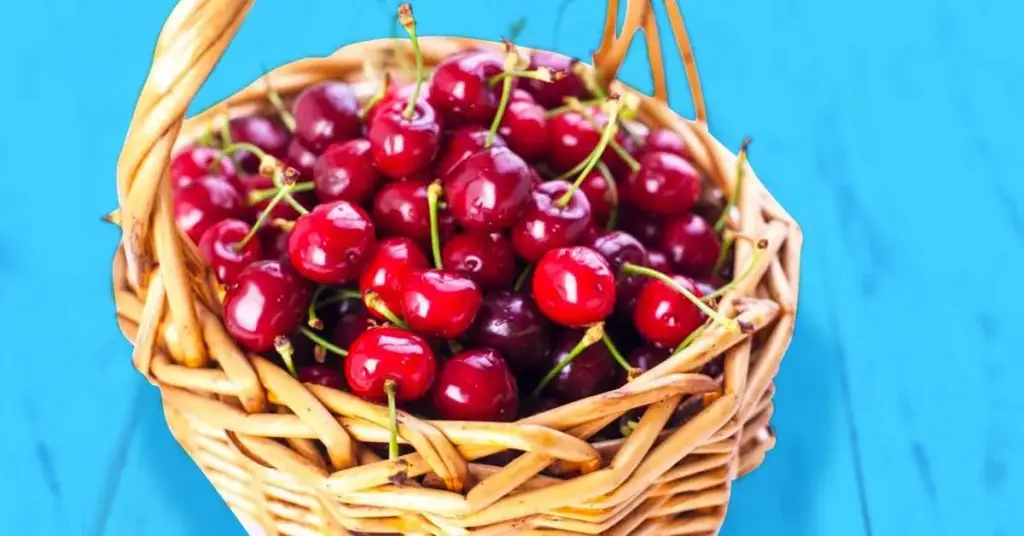 ¿Cómo germinar huesos de cereza en casa? – Mis Consejos Jardinería