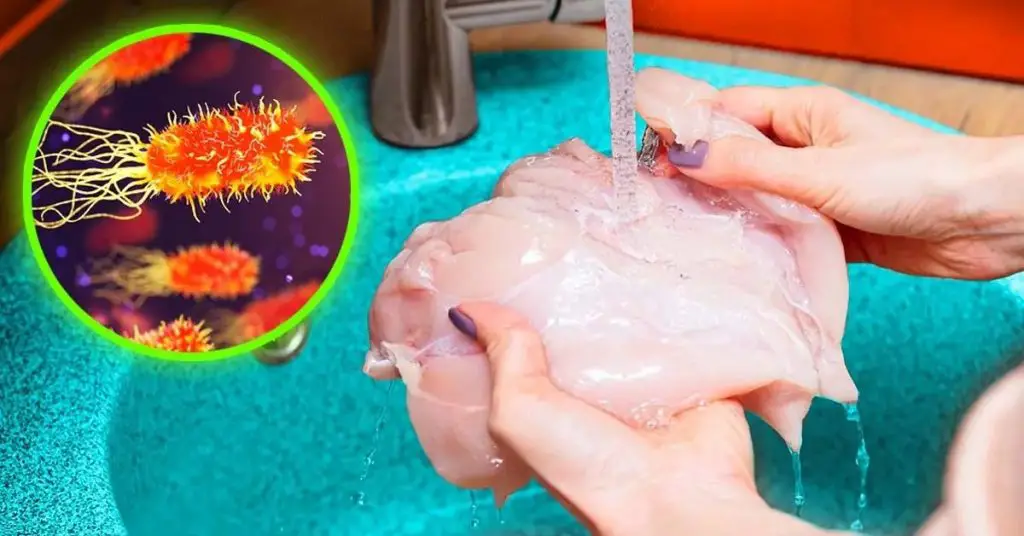 ¿Cómo lavar el pollo para evitar la salmonela? El truco para evitar la intoxicación – Mis Consejos Jardinería