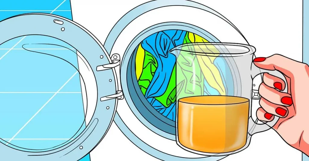 ¿Cómo limpiar y perfumar la lavadora? Tu ropa olerá genial – Mis Consejos Jardinería