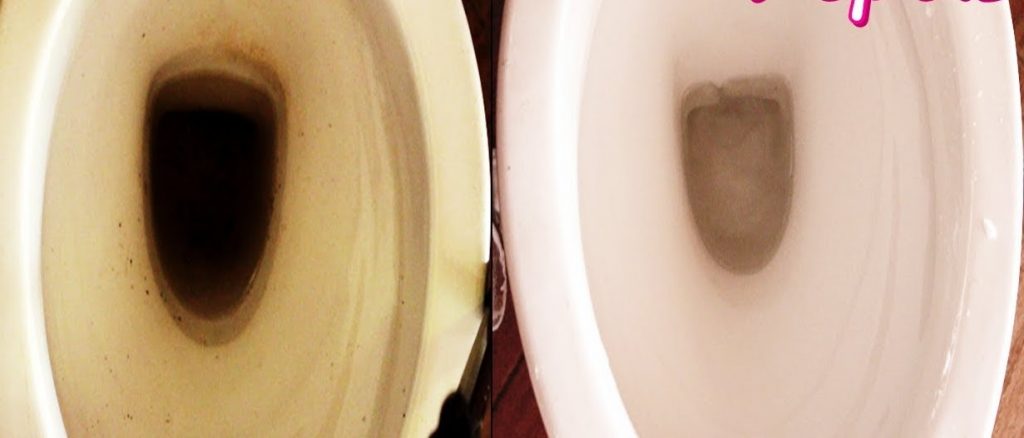 ¿Cómo quitar fácilmente las escamas marrones o negras incrustadas en el borde interior del recipiente? – Mis Consejos Jardinería