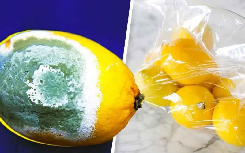 ¿Cómo se almacenan los limones por más tiempo para que no se pudran? 4 trucos simples – Mis Consejos Jardinería