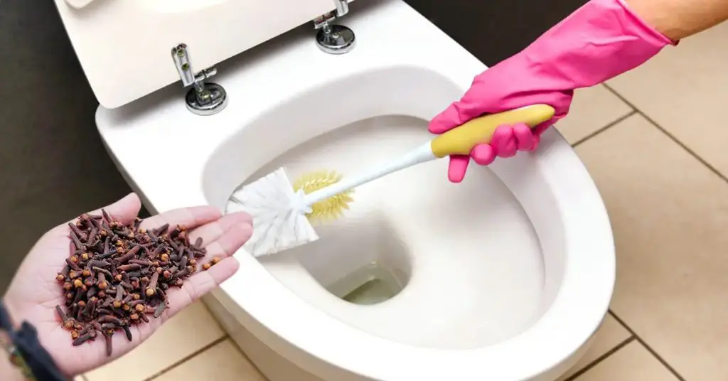 ¿Cómo usar los clavos para eliminar el olor a orina en el baño? – Mis Consejos Jardinería