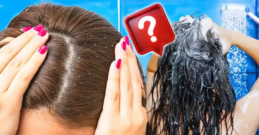 ¿Con qué frecuencia debes lavarte el cabello? Consejos de expertos para un cuero cabelludo sano – Mis Consejos Jardinería