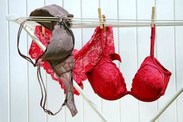 ¿Con qué frecuencia debes renovar tu ropa interior? Muchos cometen este error – Mis Consejos Jardinería