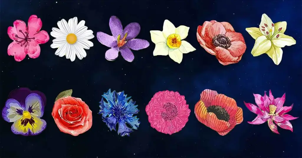 ¿Cuál es tu flor según tu mes de nacimiento? – Mis Consejos Jardinería