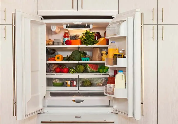 ¿Cuánto tiempo puedes guardar las sobras en la nevera? – Mis Consejos Jardinería
