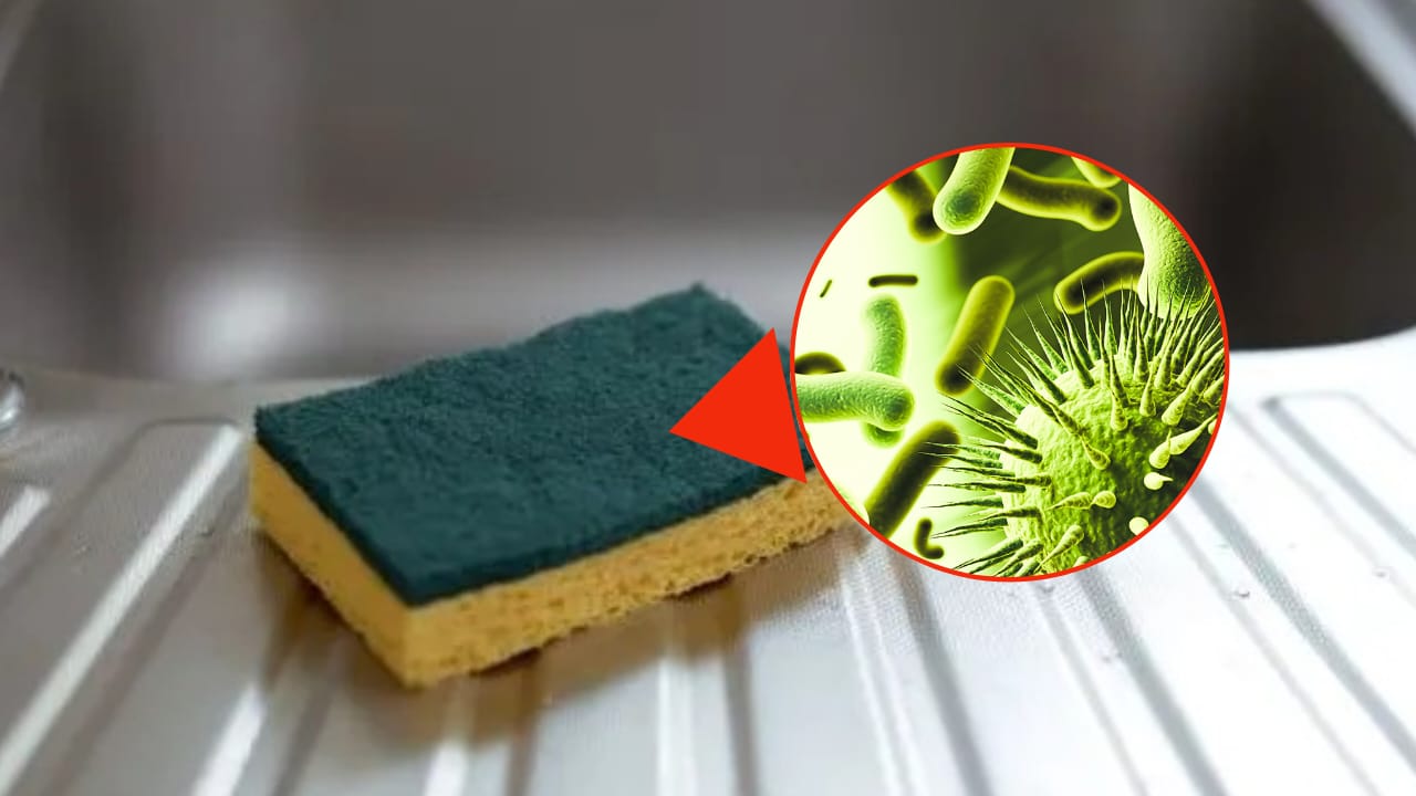 esponja para platos