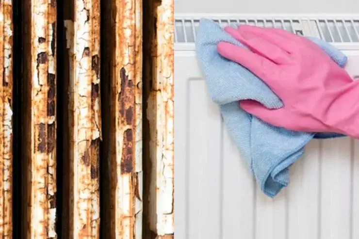 ¿Óxido en los radiadores? ¡Pruébalo con una cucharada de este ingrediente que siempre está en tu despensa! – Mis Consejos Jardinería
