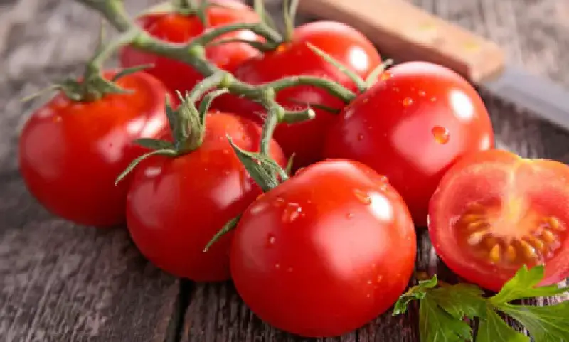 ¿Pones tomates en la nevera? He aquí por qué tenemos que sacarlos ahora – Mis Consejos Jardinería