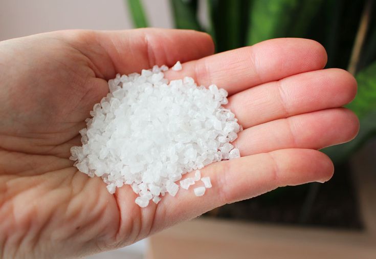 ¿Por qué Salt Grosso es un recurso precioso en casa? – Mis Consejos Jardinería