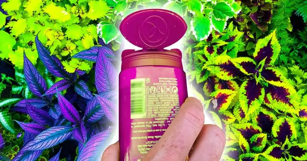 ¿Por qué deberías poner acondicionador en tus plantas? El truco de magia de los jardineros experimentados. – Mis Consejos Jardinería
