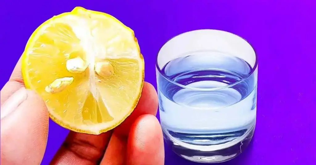 ¿Por qué deberías poner una semilla de limón en un vaso de agua? – Mis Consejos Jardinería