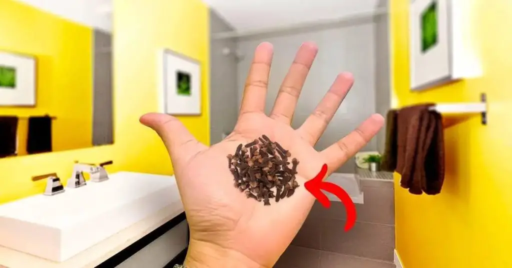 ¿Por qué es fundamental poner clavos en el baño? Te libran de un molesto problema – Mis Consejos Jardinería