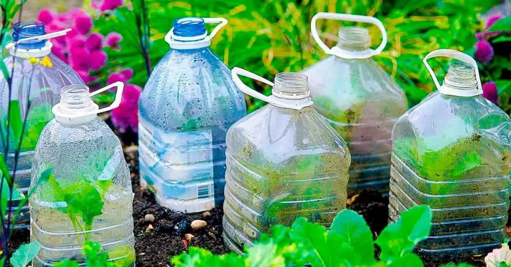 ¿Por qué es importante plantar botellas de plástico en el jardín en octubre? – Mis Consejos Jardinería