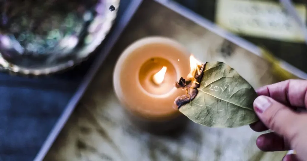 ¿Por qué es importante quemar hojas de laurel en casa? – Mis Consejos Jardinería