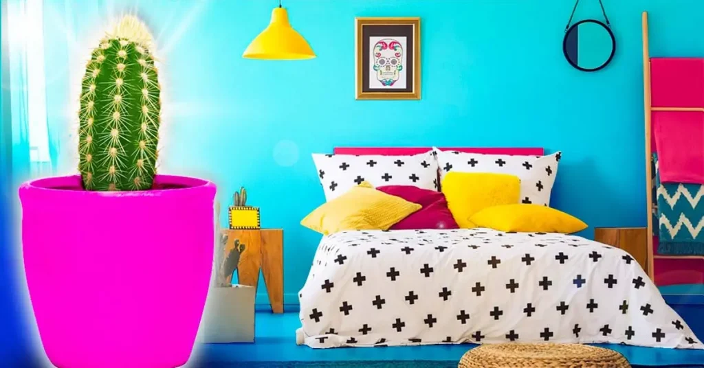 ¿Por qué es imprescindible tener un cactus en tu dormitorio? – Mis Consejos Jardinería