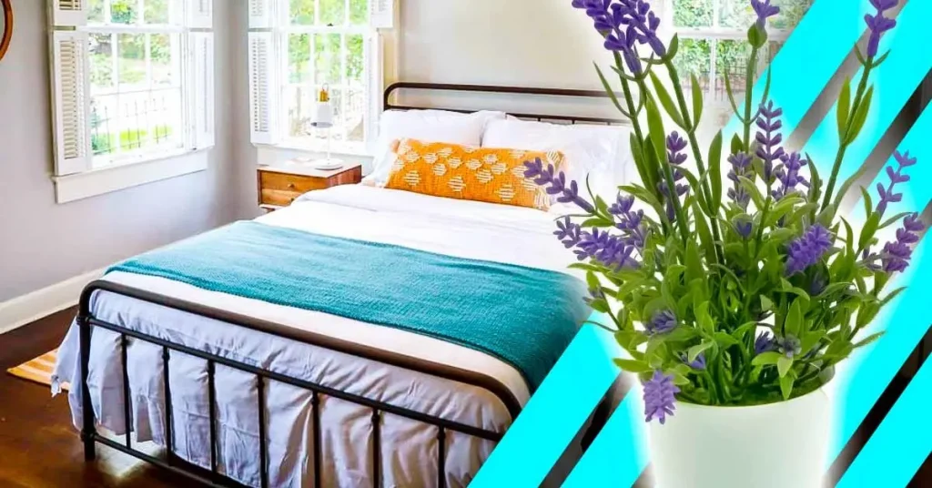 ¿Por qué es imprescindible tener una planta en el dormitorio? El secreto que pocos saben – Mis Consejos Jardinería