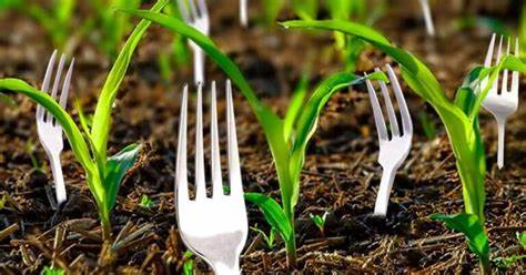 ¿Por qué es necesario plantar tenedores en la huerta? El truco del jardinero inteligente – Mis Consejos Jardinería