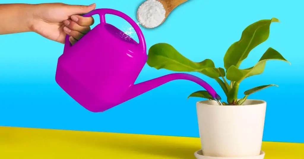 ¿Por qué necesita agregar bicarbonato de sodio al agua de su planta? – Mis Consejos Jardinería