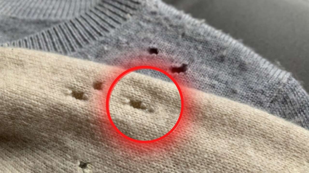 Agujeros en las camisas
