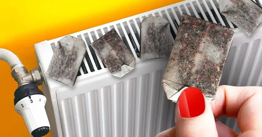 ¿Por qué siempre tienes que poner bolsitas de té en el radiador? – Mis Consejos Jardinería