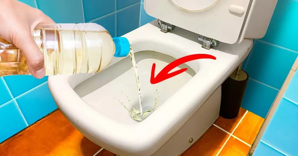 ¿Por qué verter vinagre por el inodoro una vez al mes? Un truco poco conocido que vale la pena probar – Mis Consejos Jardinería