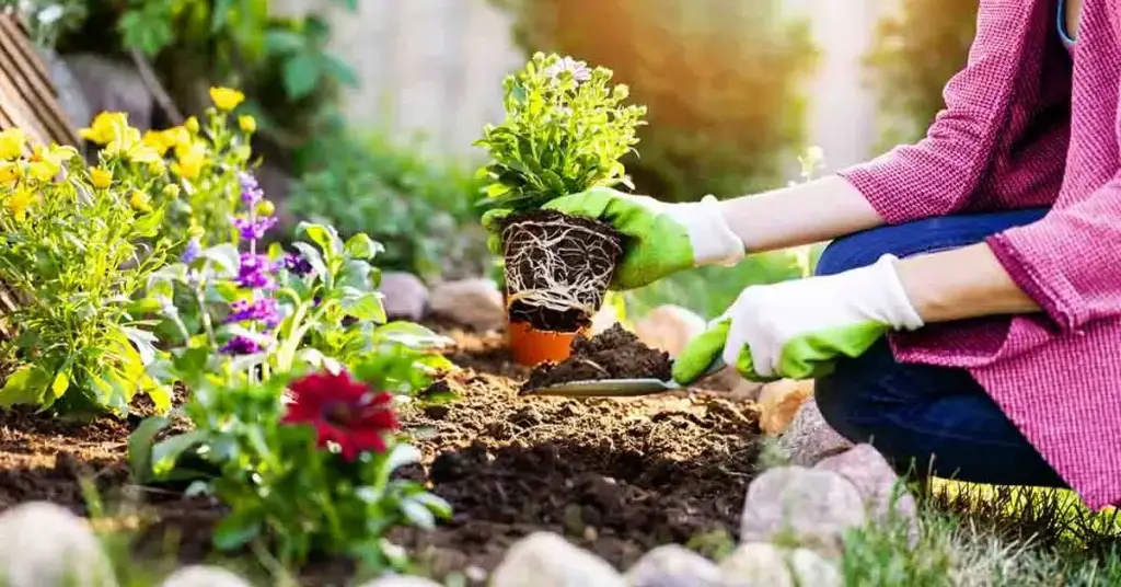 ¿Qué especias plantar en marzo? – Mis Consejos Jardinería