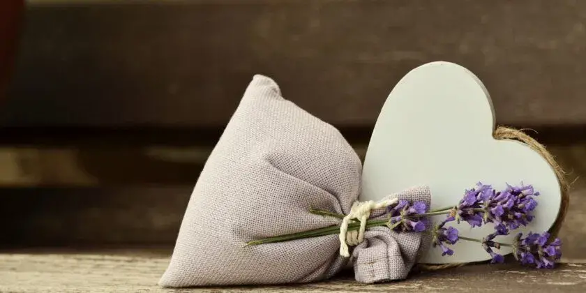 ¿Quieres cultivar lavanda en el balcón? No hay problema, aquí se revelan los secretos de los mejores viveristas. – Mis Consejos Jardinería