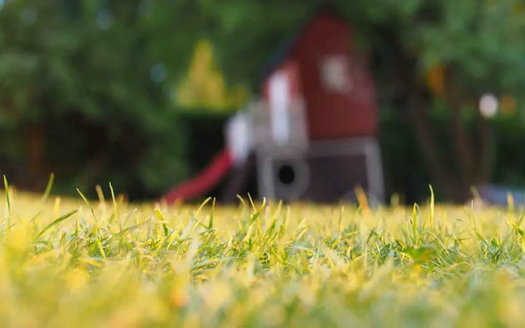 ¿Se corta el césped durante el día o por la noche? nadie sabía, aquí está la verdad – Mis Consejos Jardinería