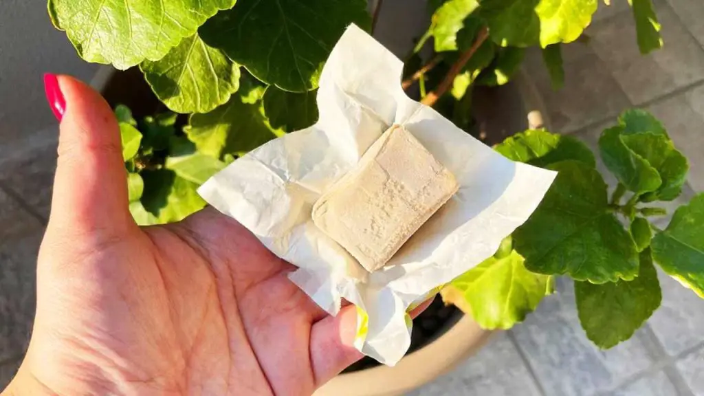 ¿Se puede usar levadura caducada? ¡Sí, haz un fertilizante! – Mis Consejos Jardinería