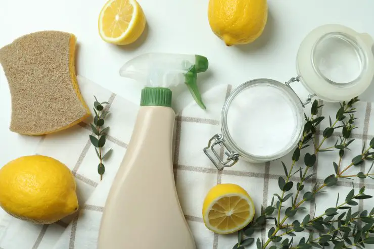 ¿Son demasiado caros los detergentes? ¡Haz este producto! ¡Te costará centavos y es súper efectivo! – Mis Consejos Jardinería