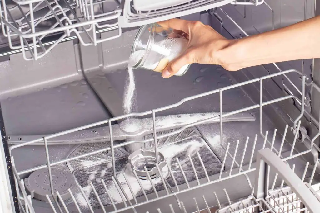 ¿Tu lavavajillas huele mal? Una taza es suficiente para limpiarlo. – Mis Consejos Jardinería