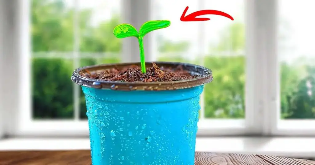¿Tu planta de interior ya no crece? Esto es lo que debes hacer con él de inmediato. – Mis Consejos Jardinería