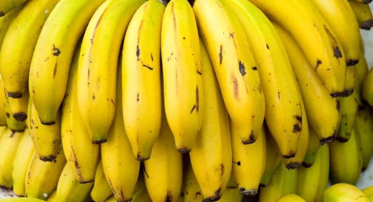 Plátano con champiñón