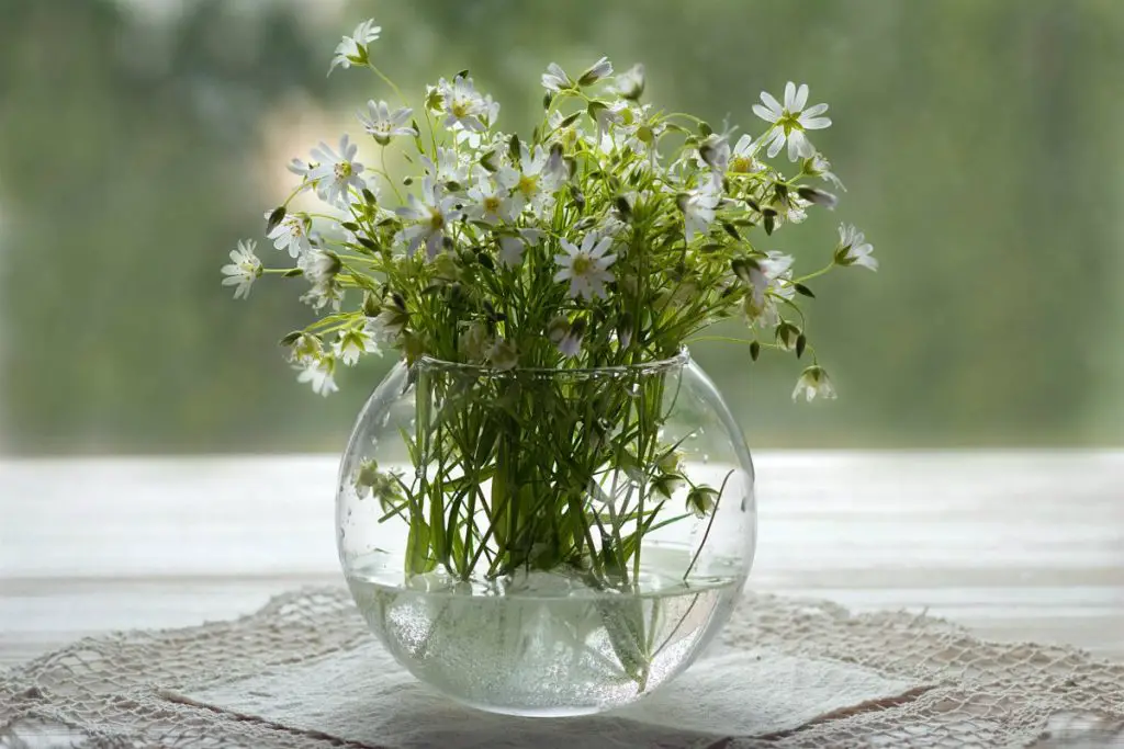 ¡Adiós a las manchas en los jarrones! ¡Aquí están los mejores métodos para eliminarlos! – Mis Consejos Jardinería