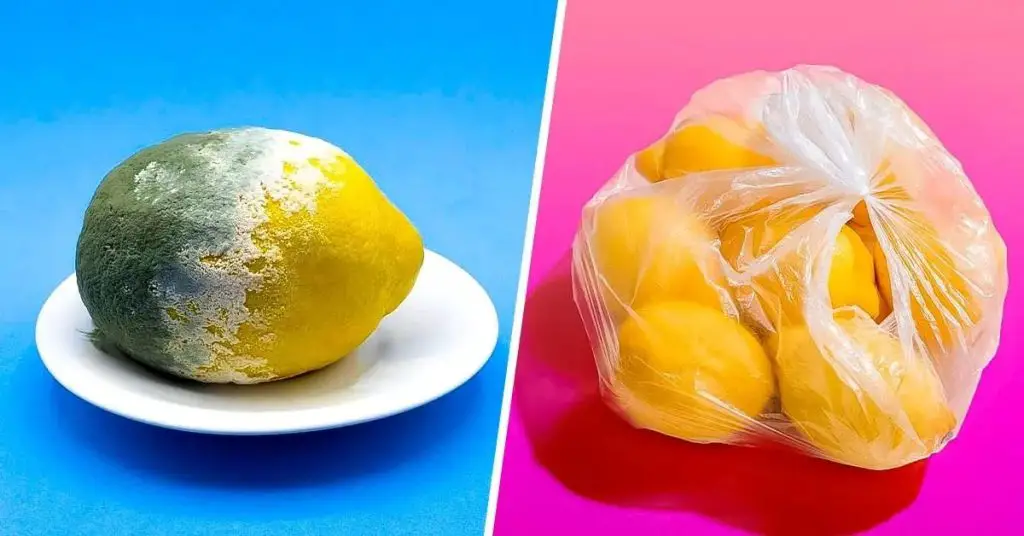 El truco para almacenar limones durante 3 meses o más y evitar que se pudran – Mis Consejos Jardinería