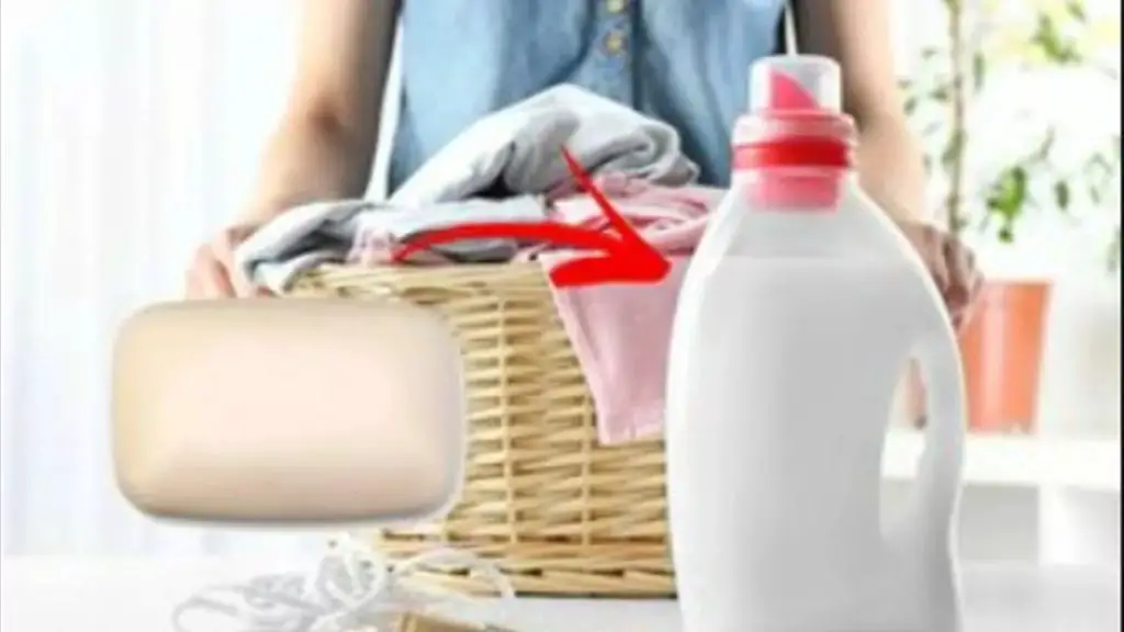 Cómo convertir una pastilla de jabón en jabón líquido: trucos de ahorro – Mis Consejos Jardinería