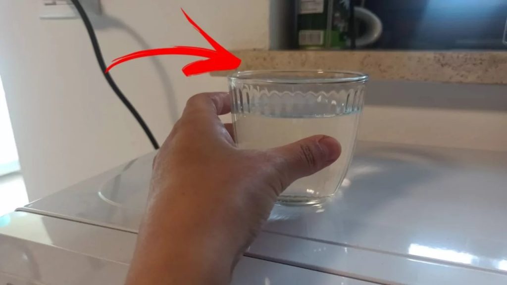 ¡Usa el truco del vaso de agua y no verás más moscas en la casa – Mis Consejos Jardinería