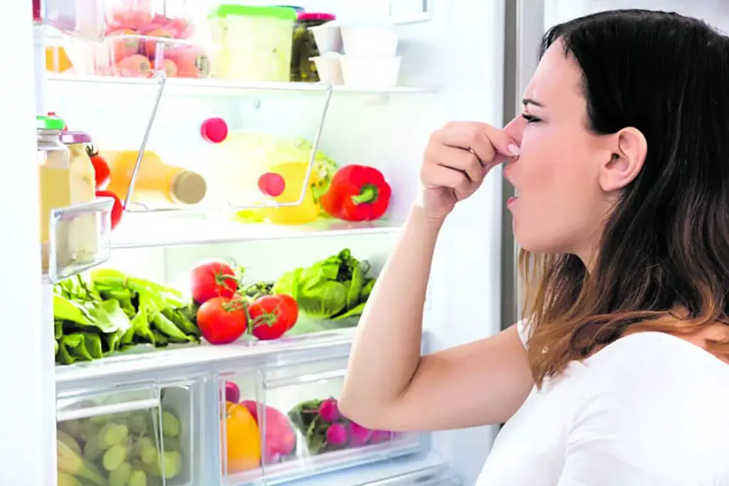 Este remedio absorbente de olores te permitirá eliminar el hedor del refrigerador de manera efectiva – Mis Consejos Jardinería