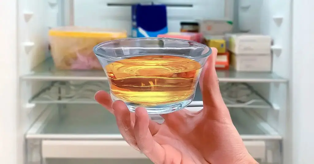 Ponga un tazón de vinagre en el refrigerador y vea qué sucede: la solución genial para un problema común – Mis Consejos Jardinería
