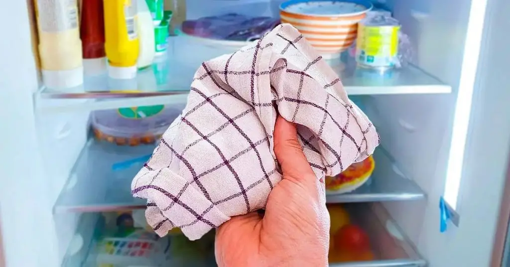 Poner un paño de cocina en la nevera: un truco genial para ahorrar dinero – Mis Consejos Jardinería