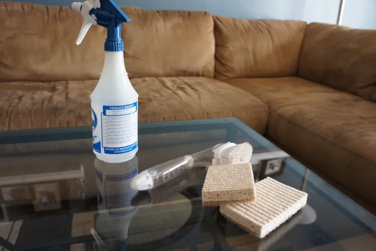 como limpiar un sofa de tela moho microorganismos pequeños insectos