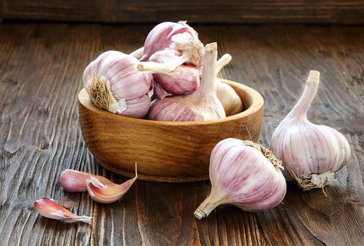 Ajo para tener una orquídea vigorosa con muchas hojas brillantes