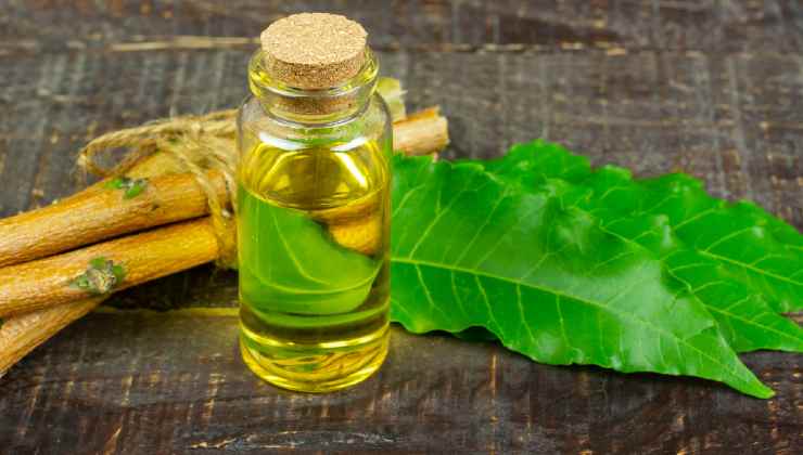 aceite de neem
