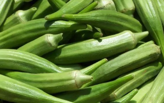 vaina de okra
