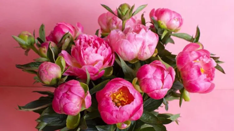ramo de flores con peonias 2022