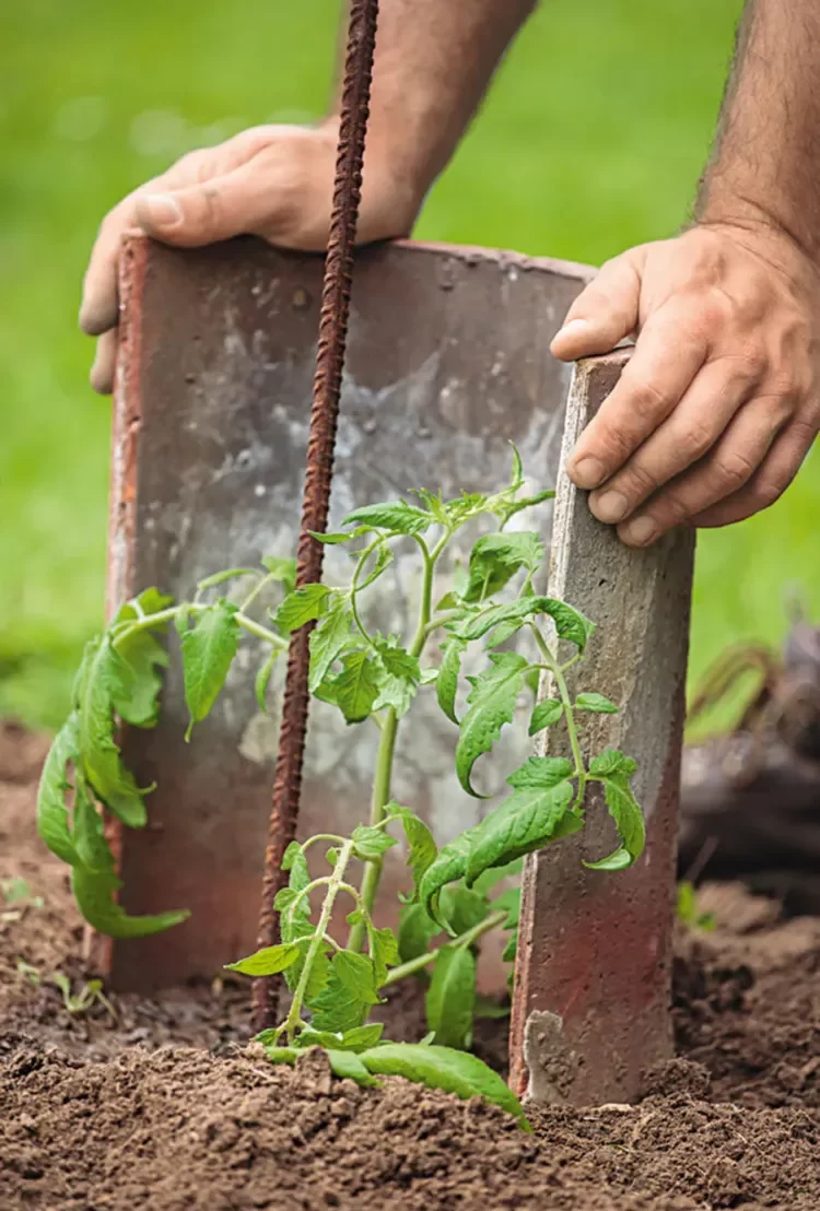 azulejos para proteger tu jardín del granizo 2022