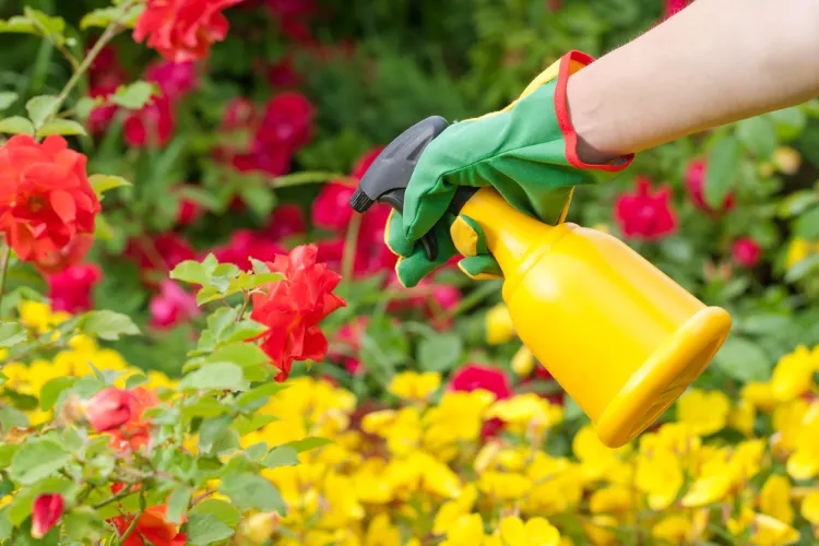 cómo usar correctamente el vinagre blanco en el jardín 2022