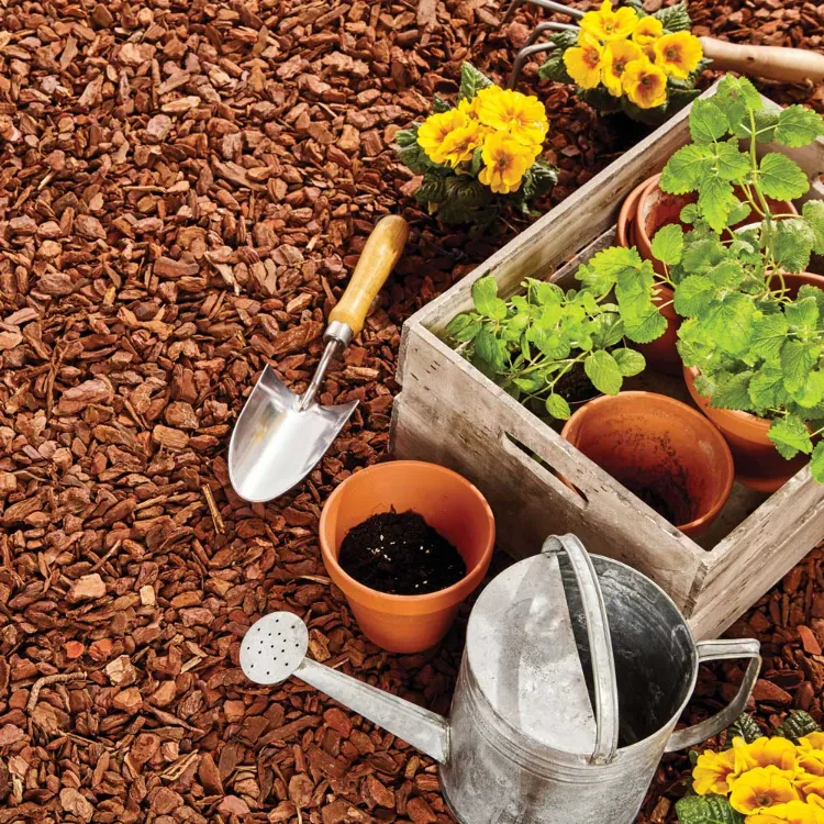 mulching para huerta como abono natural 2022
